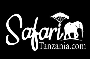 Safari Tanzania