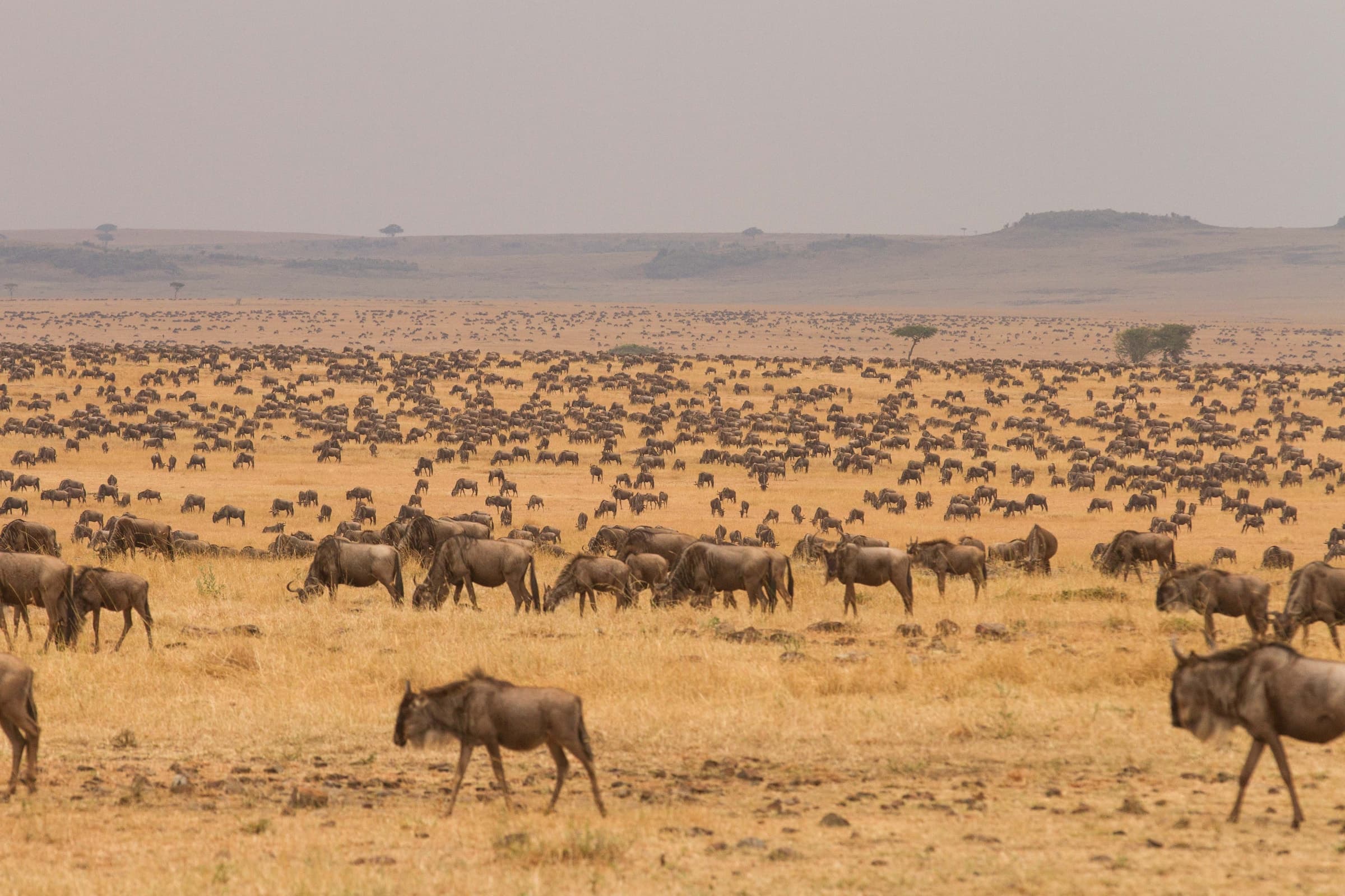 Serengeti National Park
