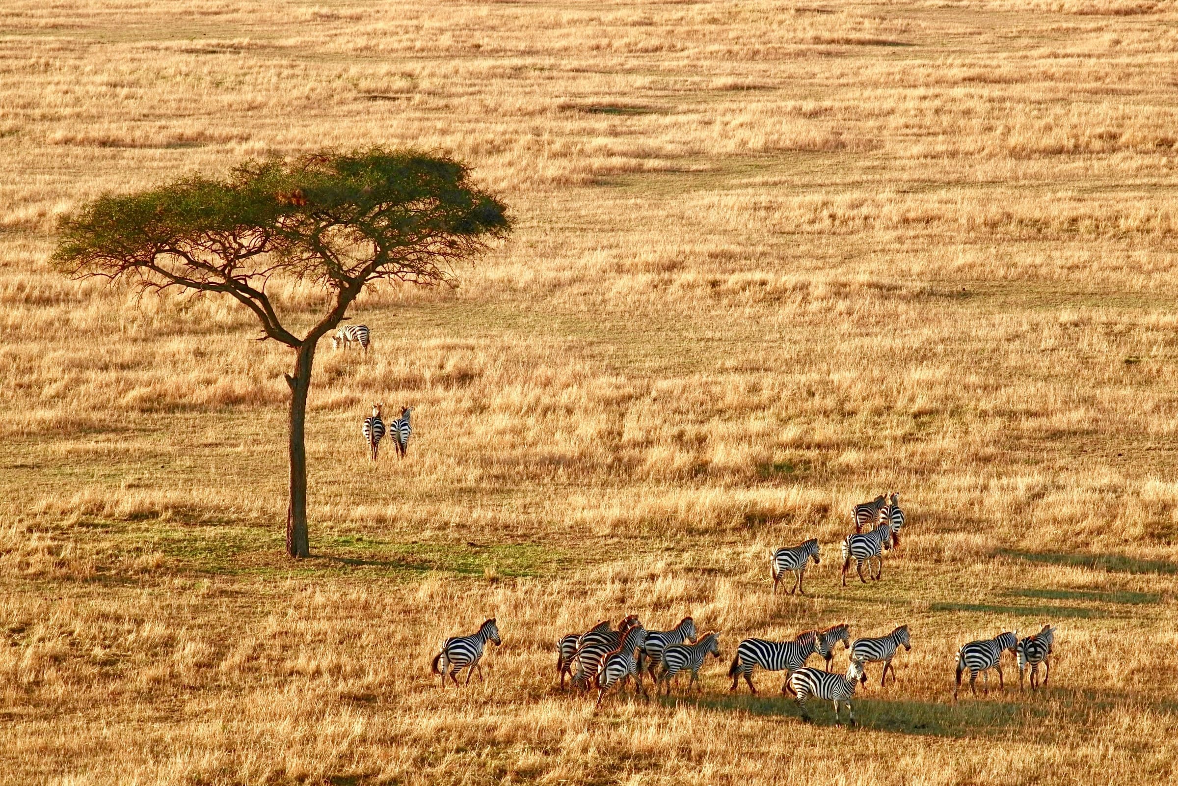 Tanzania Northern Circuit Safari