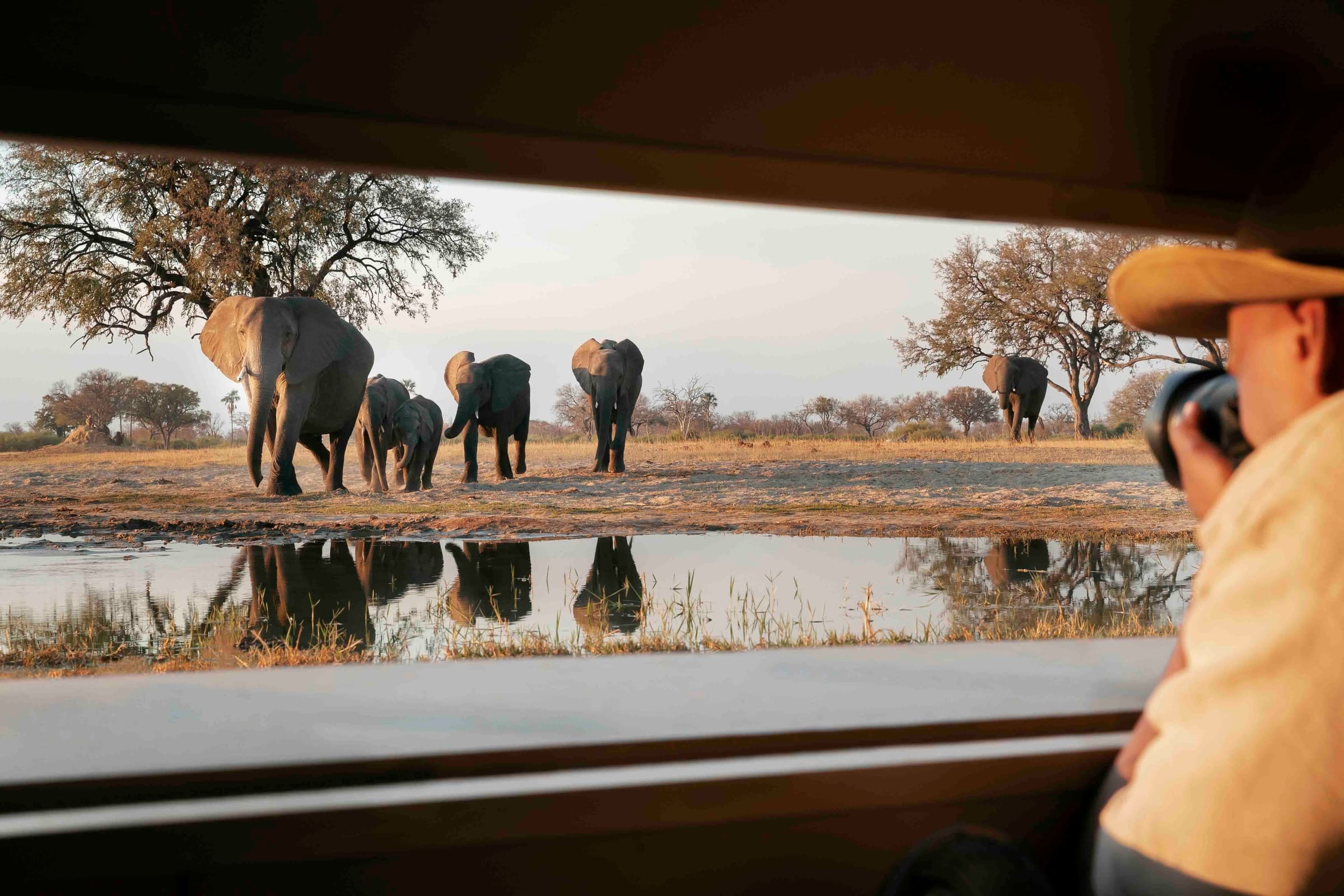 12 Day Photographic Safari Masterclass
